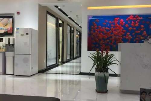 上海皇欣口腔医院价目表